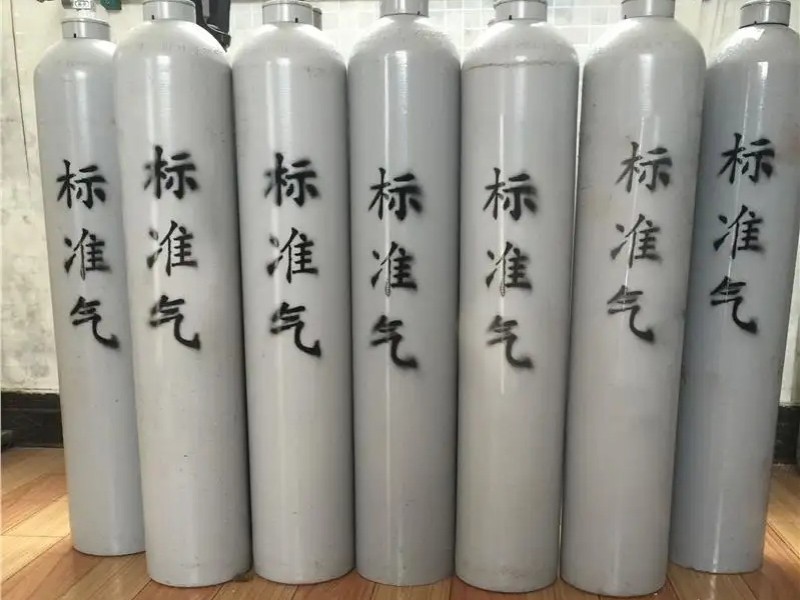 8升标准气